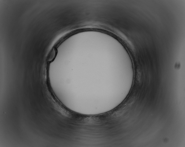 X0000100861368200807181126