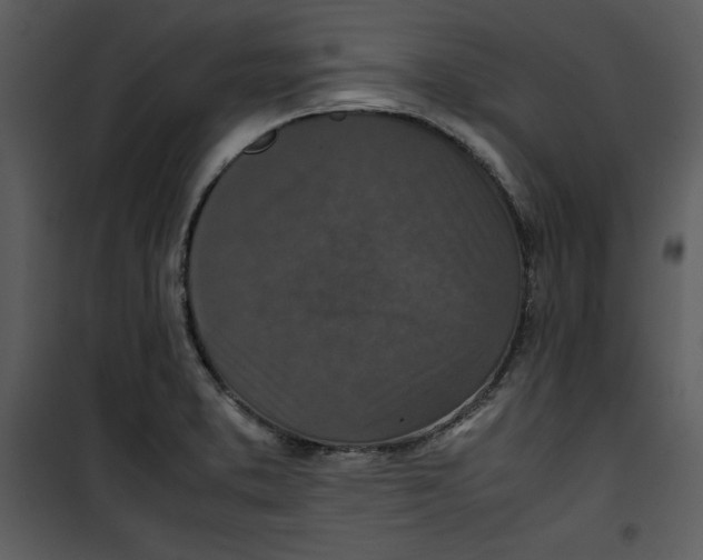 X0000100861373200807181126