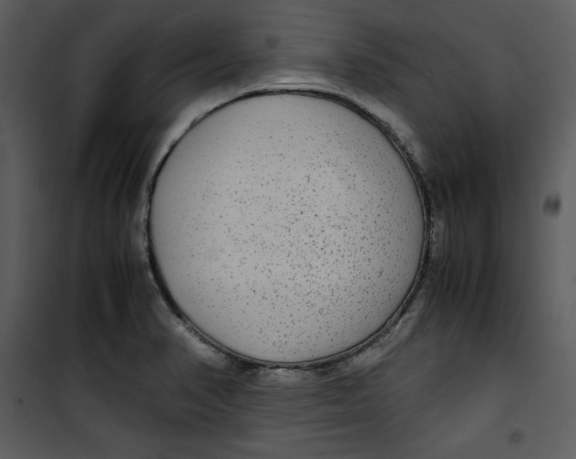 X0000100861374200807181126