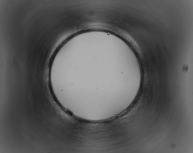 X0000100861376200807181126