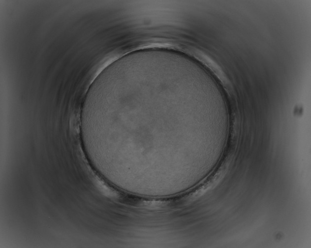 X0000100861377200807181126