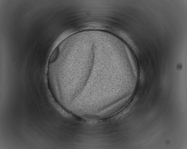 X0000100861378200807181126