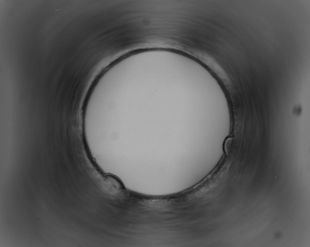 X0000100861380200807181126