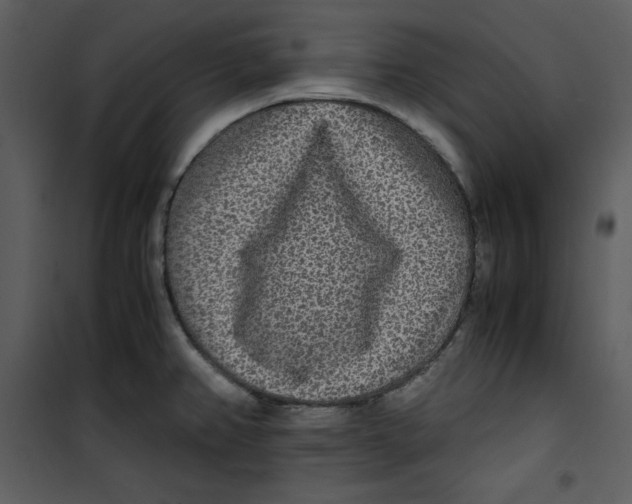 X0000100861382200807181126