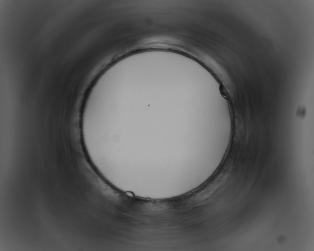 X0000100861384200807181126