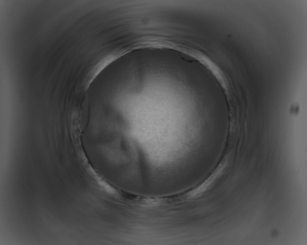 X0000100861385200807181126