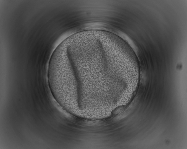 X0000100861386200807181126