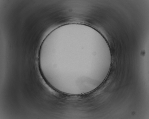 X0000100861387200807181126