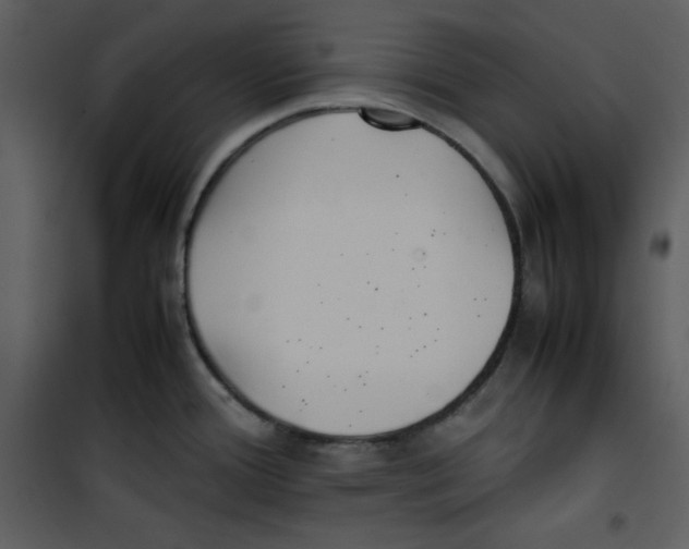 X0000100861388200807181126