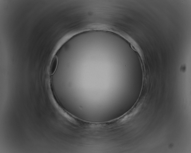 X0000100861389200807181125