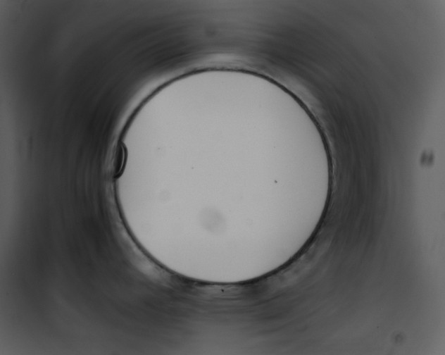 X0000100861392200807181125