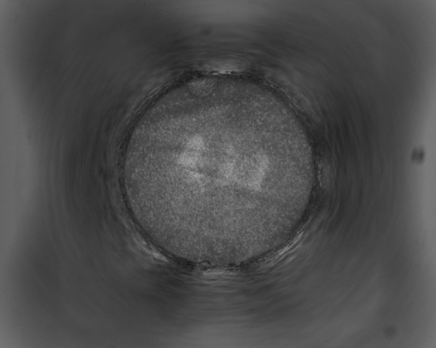 X0000100861393200807181125