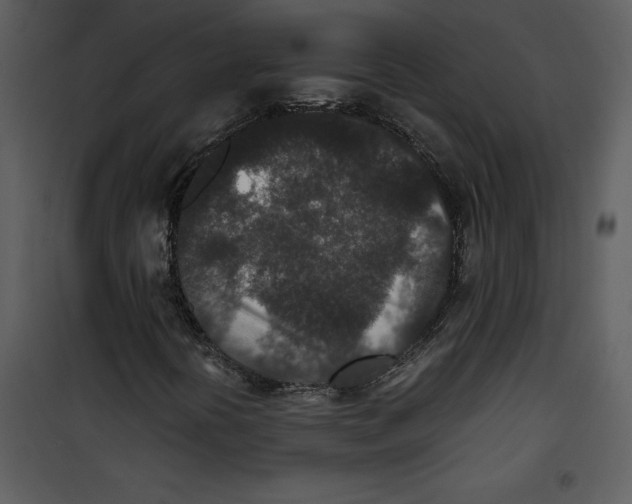 X0000100861394200807181125