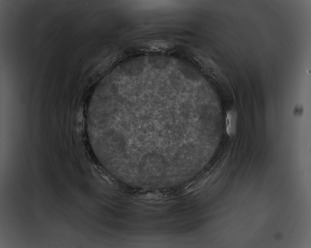 X0000100861395200807181125