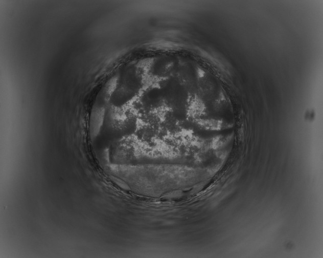 X0000100861397200807181125