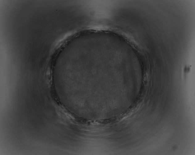 X0000100861398200807181125