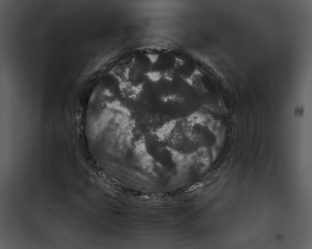 X0000100861399200807181125