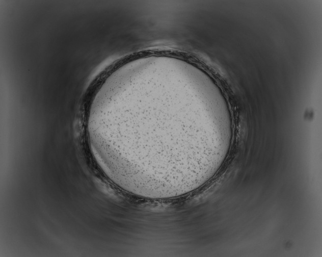 X0000100861400200807181125