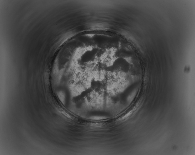 X0000100861401200807181125