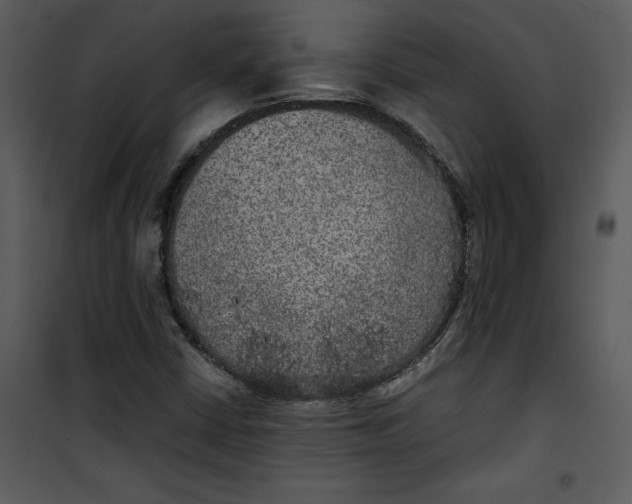 X0000100861402200807181125