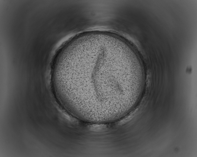 X0000100861406200807181125