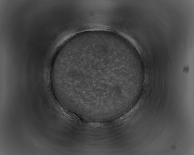 X0000100861407200807181125