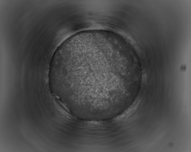 X0000100861409200807181125