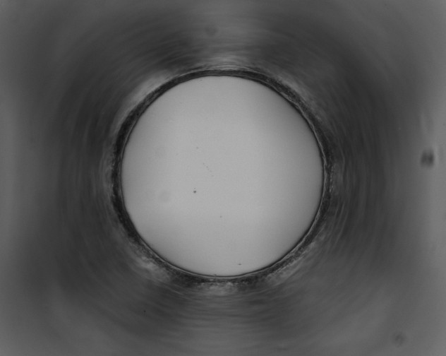 X0000100861410200807181125