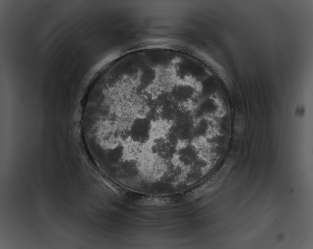 X0000100861411200807181125