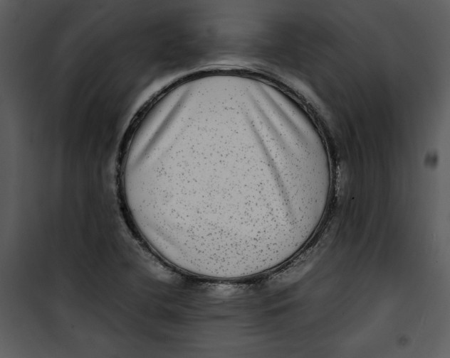 X0000100861412200807181125