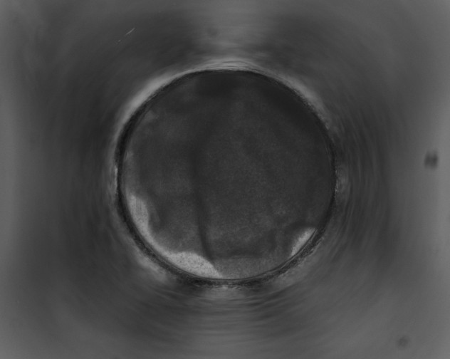 X0000100861414200807181125