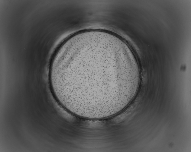 X0000100861416200807181125