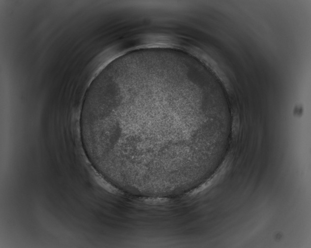 X0000100861417200807181125