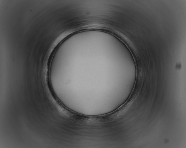 X0000100861418200807181125