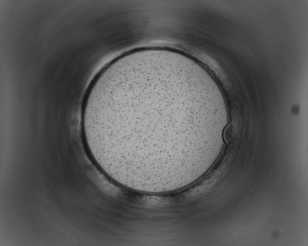 X0000100861420200807181125