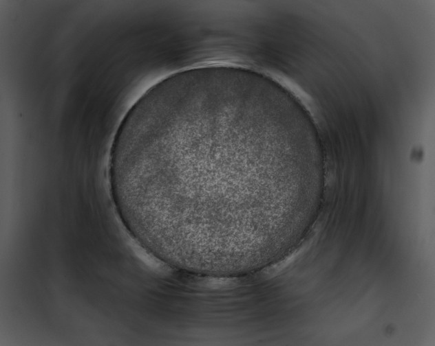 X0000100861423200807181125