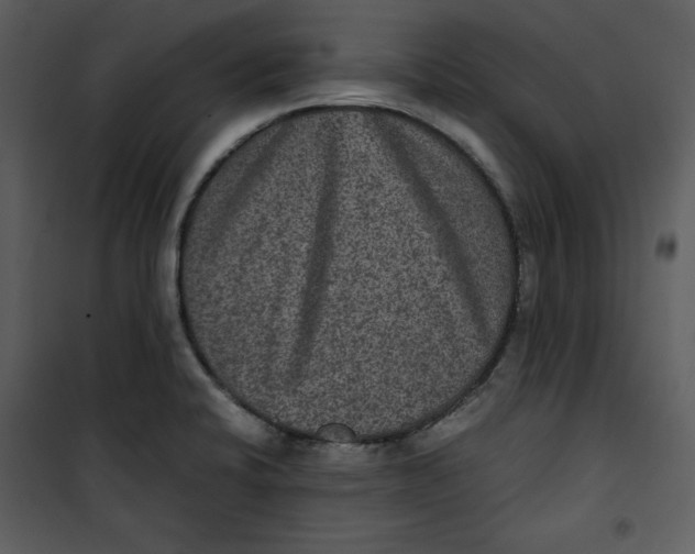 X0000100861424200807181125