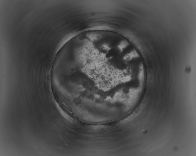 X0000100861425200807181125