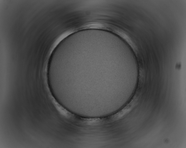 X0000100861426200807181125