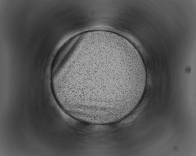 X0000100861430200807181125