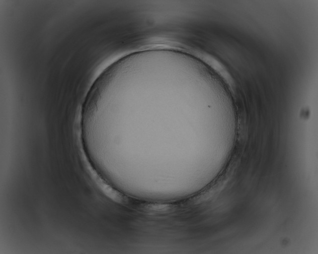 X0000100861431200807181125