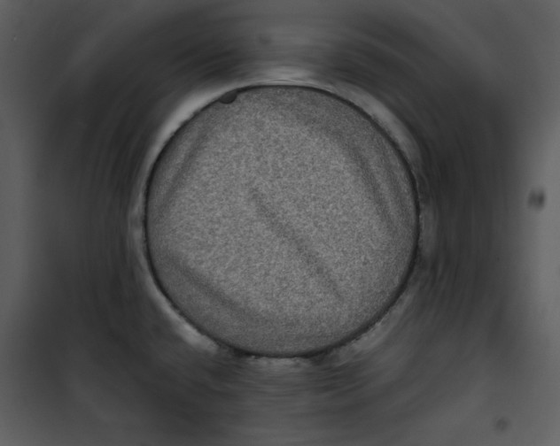 X0000100861432200807181125