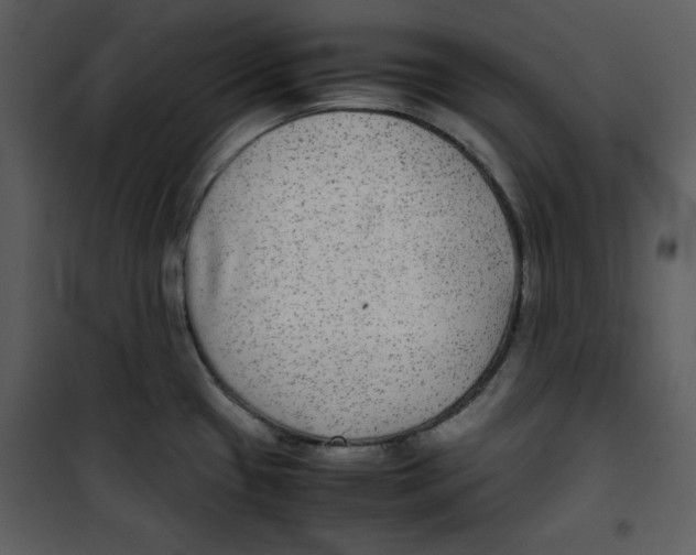 X0000100861433200807181125