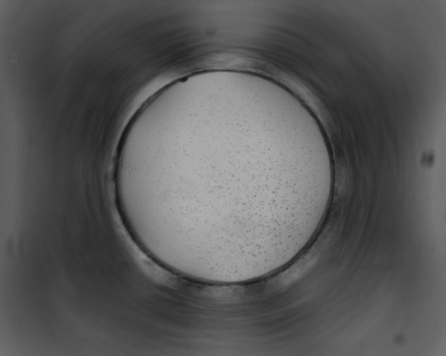 X0000100861434200807181125