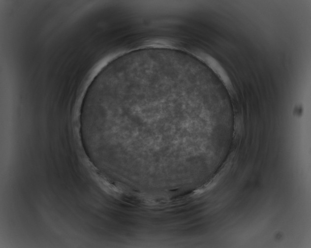 X0000100861435200807181125