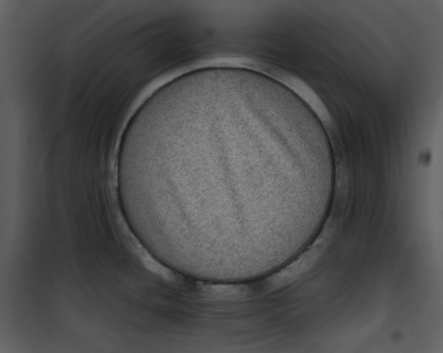 X0000100861436200807181125