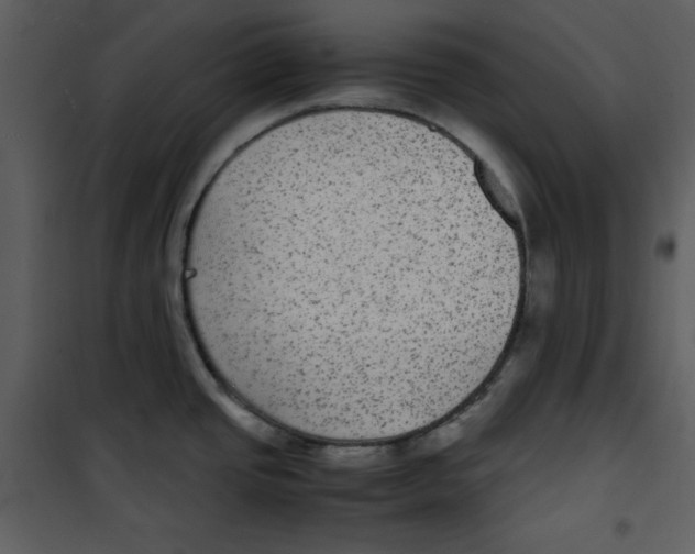 X0000100861437200807181125