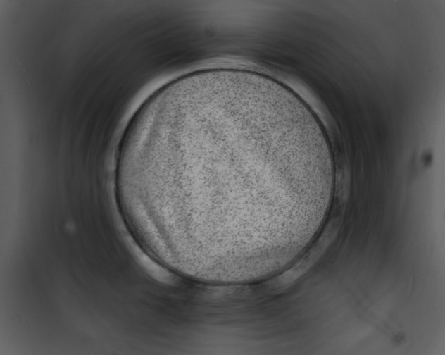 X0000100861438200807181125