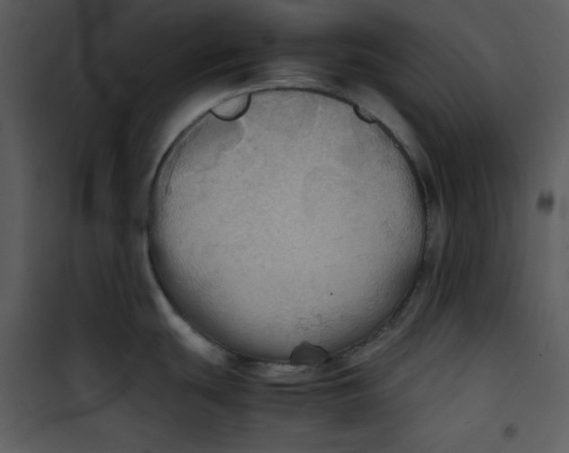 X0000100861439200807181125