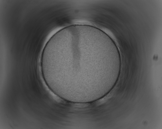 X0000100861440200807181125